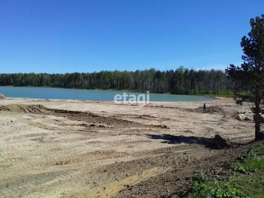 Участок в Ленинградская область, Всеволожский район, Колтушское ... - Фото 1