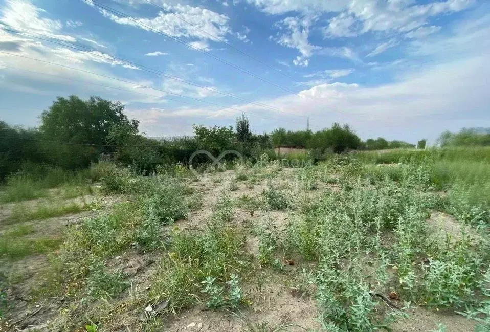 Участок в Волгоградская область, Дубовский район, Пичужинское с/пос, ... - Фото 2