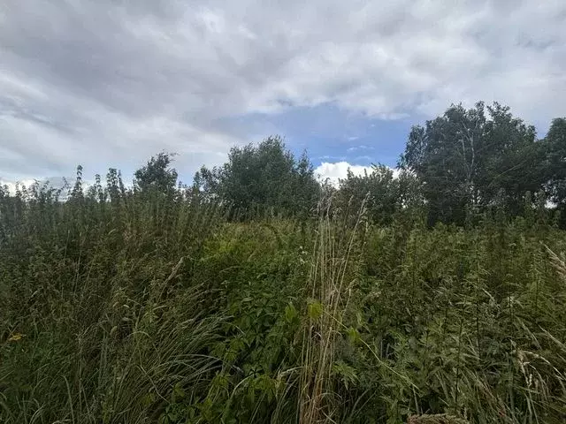 Участок в Московская область, Воскресенск городской округ, д. Исаково ... - Фото 1