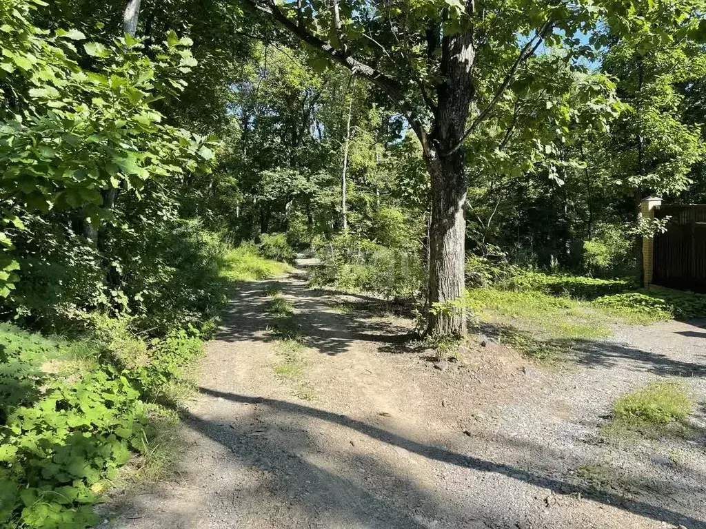 Участок в Приморский край, Владивосток Подъемная ул. (11.8 сот.) - Фото 1