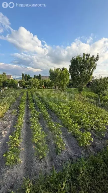 Участок в Белогорск, улица Муарема Мартынова (7.89 м) - Фото 2