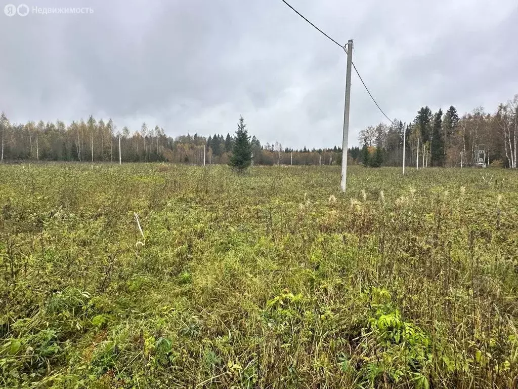 Участок в Московская область, городской округ Клин, деревня Вертково ... - Фото 1