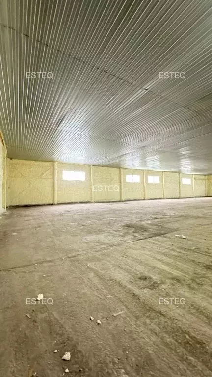 Склад в Новосибирская область, Новосибирск ул. Писемского, 28/2 (520 ... - Фото 1