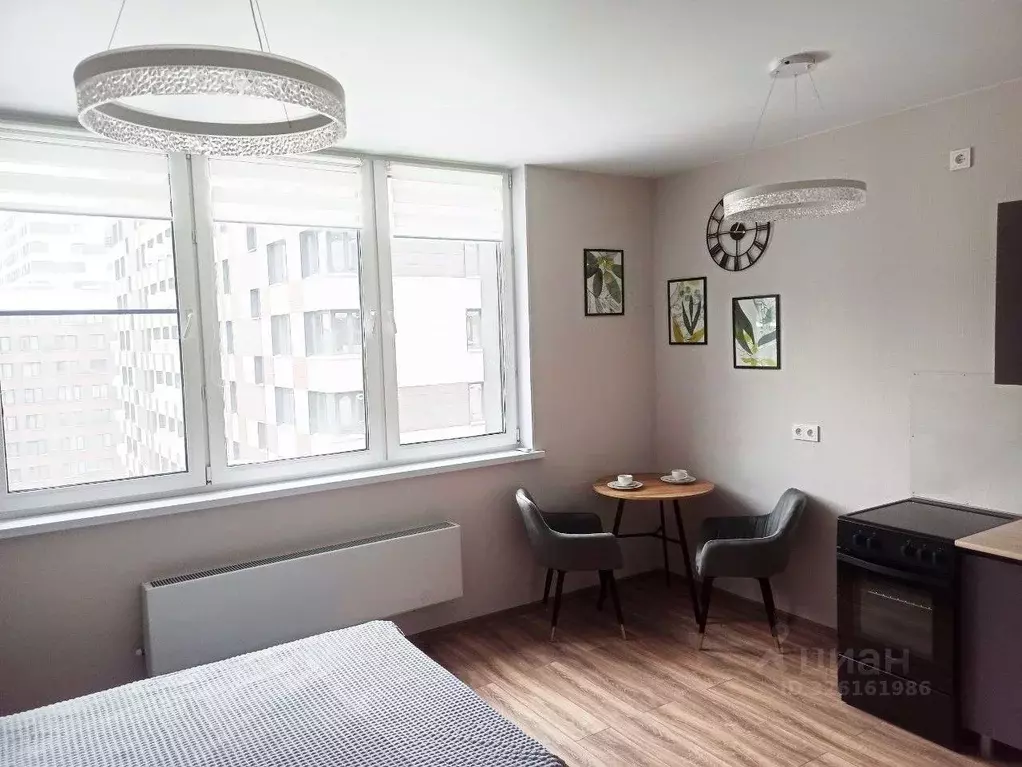 Студия Московская область, Долгопрудный Парковая ул., 42к1 (26.0 м) - Фото 2