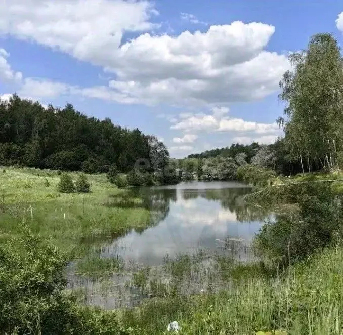 участок в московская область, ленинский городской округ, д. мисайлово . - Фото 0