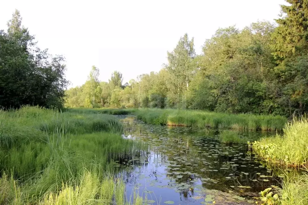 Дом в Вологодская область, Шекснинский муниципальный округ, Полянка ... - Фото 1
