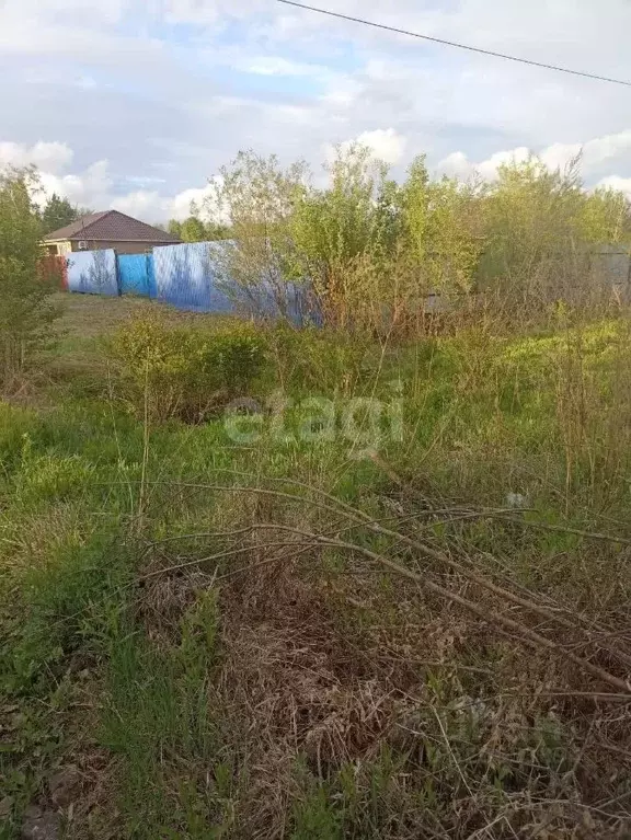 Участок в Хабаровский край, Хабаровский район, с. Мирное Рабочая ул. ... - Фото 2