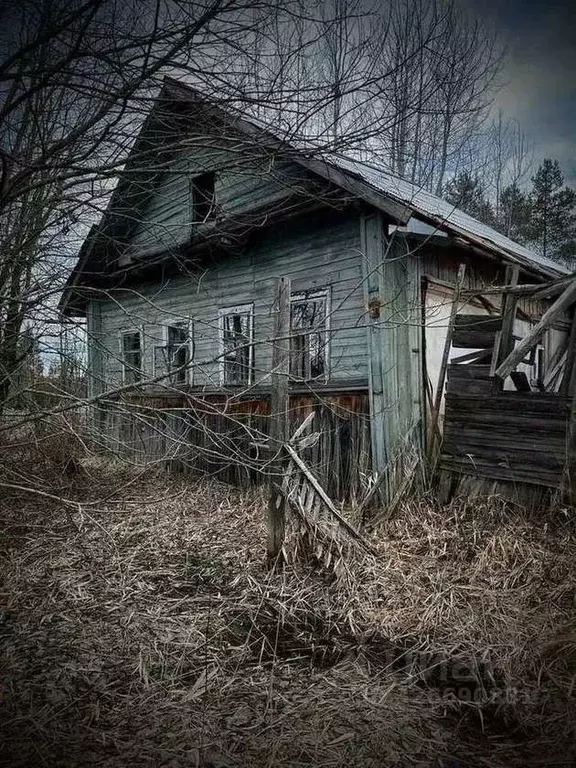 Участок в Новгородская область, Маловишерский район, Большевишерское ... - Фото 1