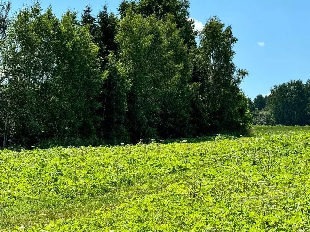 Участок в Московская область, Солнечногорск городской округ, д. Мостки ... - Фото 0