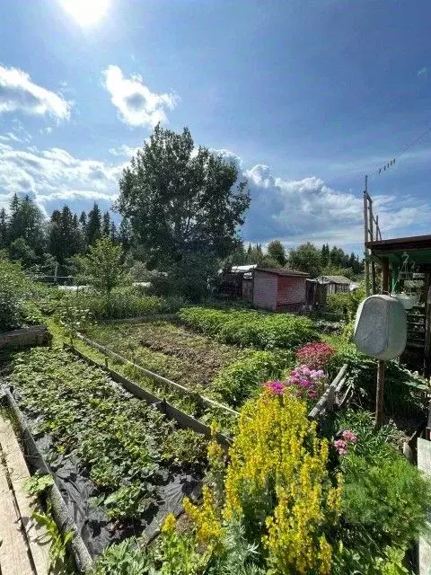 Дом в Пермский край, Пермский муниципальный округ, д. Ключики ... - Фото 2