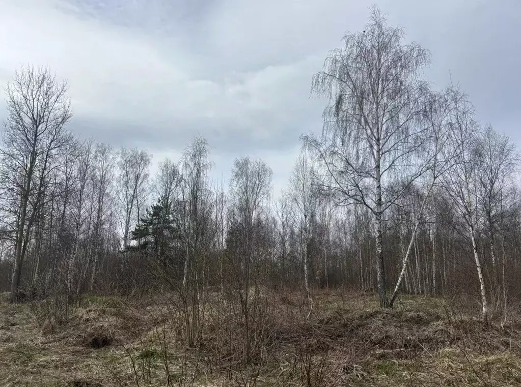 Участок в Московская область, Электрогорск Павлово-Посадский городской ... - Фото 2