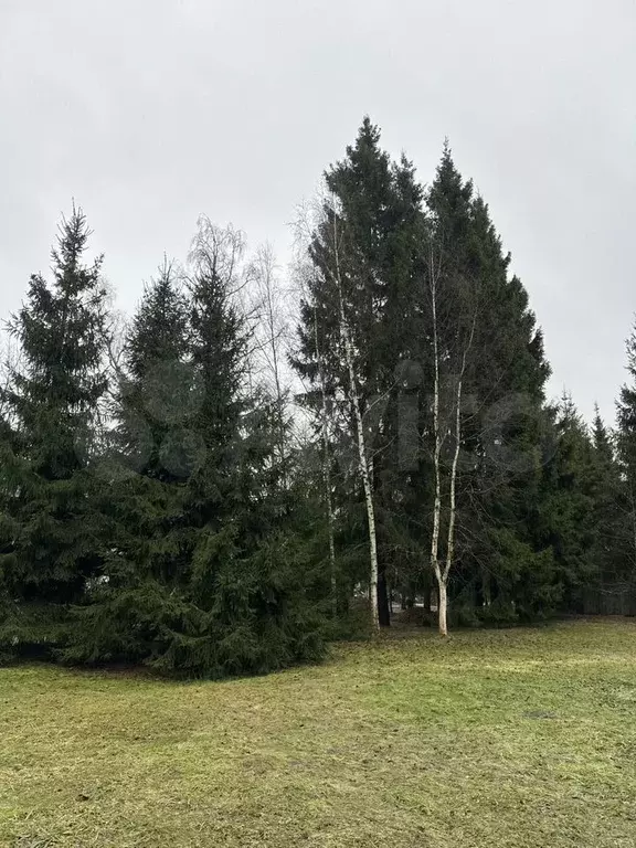 Участок 80 сот. (ИЖС) - Фото 0