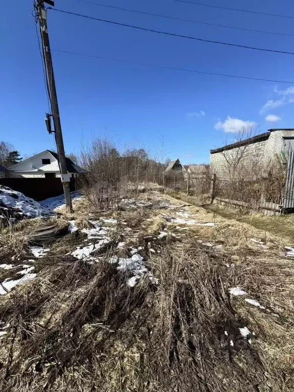 Участок в Брянская область, Брянский район, Нетьинское с/пос, ... - Фото 2