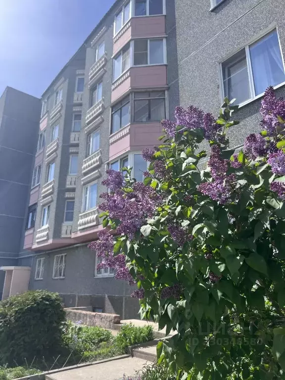 3-к кв. Ленинградская область, Гатчина ул. Генерала Сандалова, 5к1 ... - Фото 1