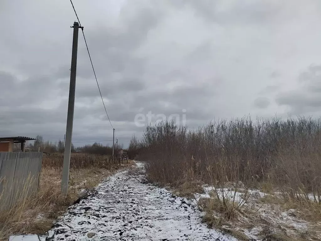 Участок в Тюменская область, Тюмень Садовое товарищество Липовый ... - Фото 1