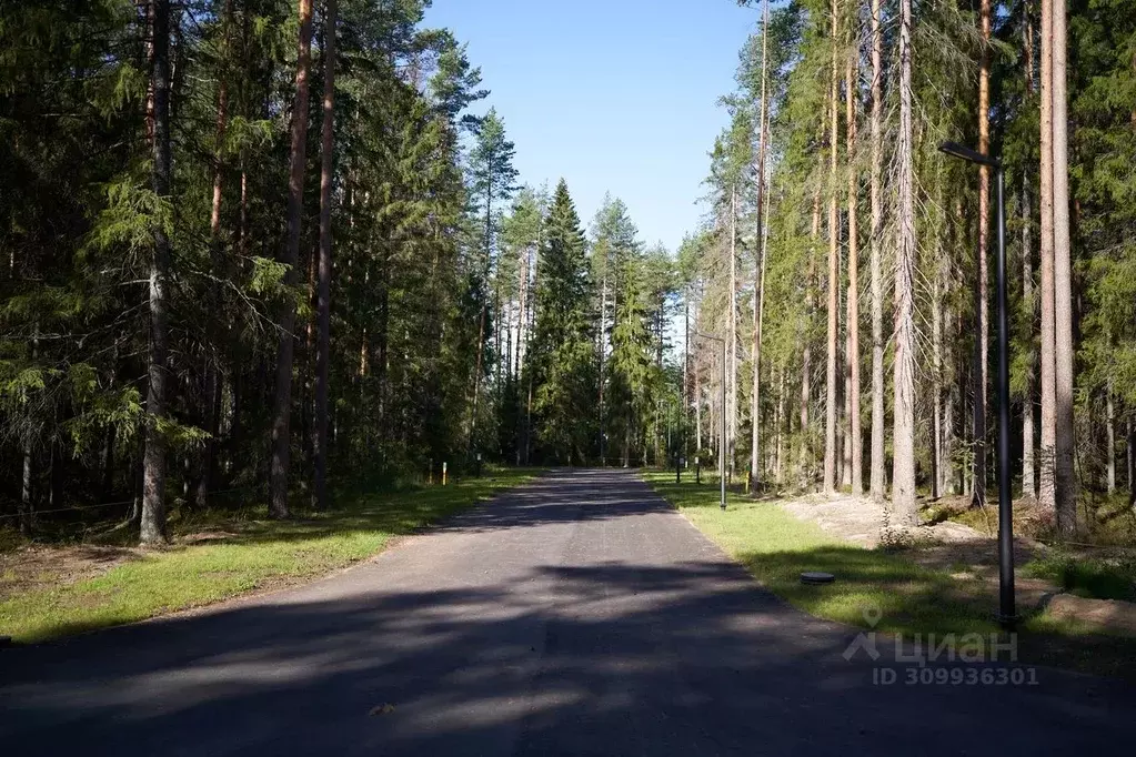 Участок в Ленинградская область, Выборгский район, Рощино пгт аллея ... - Фото 1