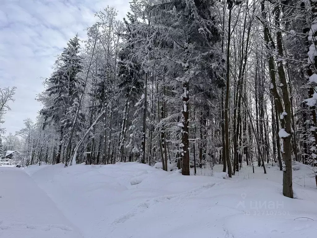 Участок в Ленинградская область, Всеволожский район, Лесколовское ... - Фото 1