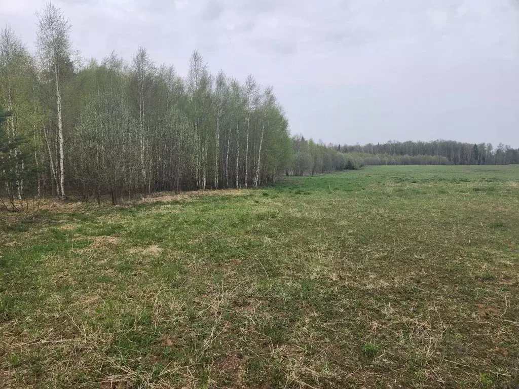 Участок в Владимирская область, Киржачский район, Кипревское ... - Фото 1