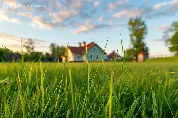 Участок в Челябинская область, Сосновский муниципальный округ, деревня ... - Фото 1