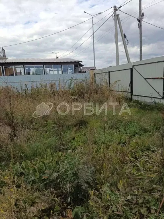 Участок в Тюменская область, Тюменский муниципальный округ, д. Ушакова ... - Фото 1