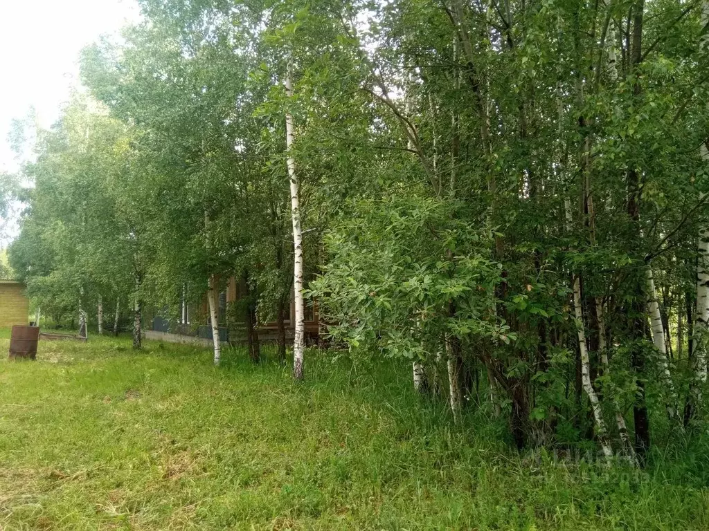 Участок в Ярославская область, Переславль-Залесский городской округ, ... - Фото 0