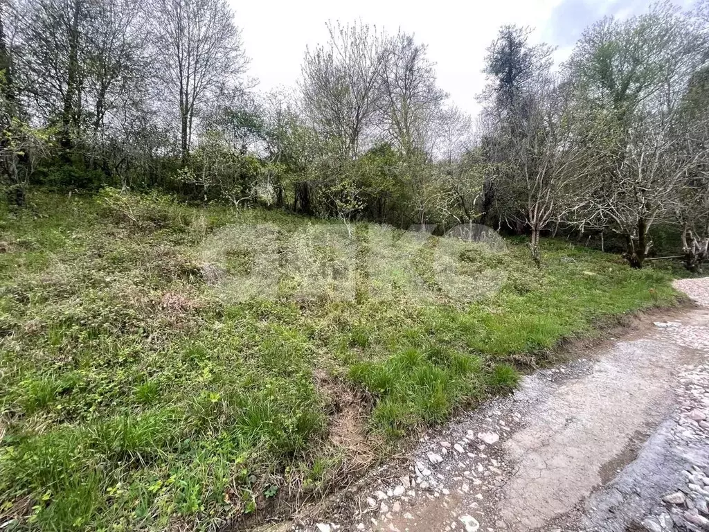 Участок в Краснодарский край, Сочи городской округ, с. Верховское ул. ... - Фото 2