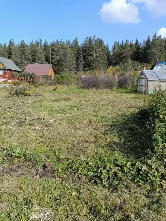 Участок в Свердловская область, Ревда Восток СОТ,  (6.0 сот.) - Фото 0