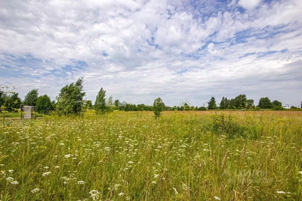 Участок в Новосибирская область, Коченевский район, Эко-городок ... - Фото 1