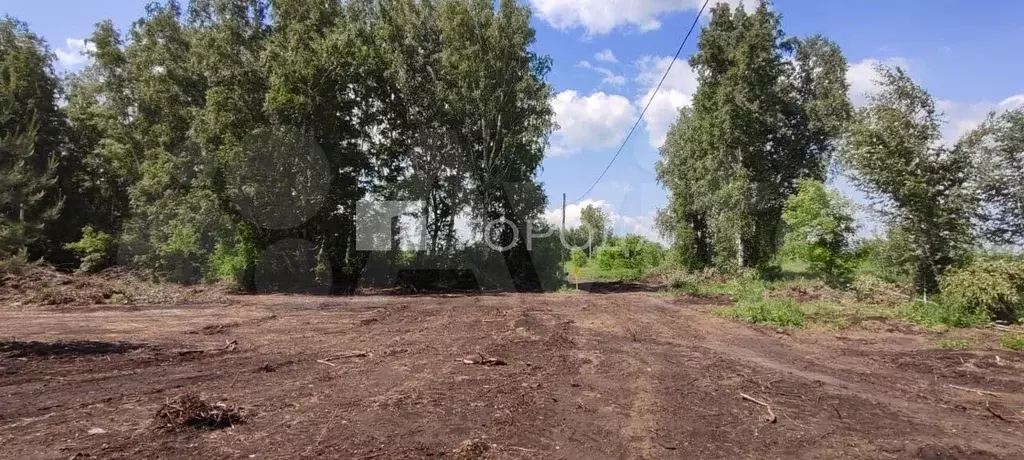 Участок 15 сот. (ИЖС) - Фото 1