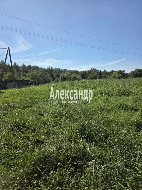 Участок в Ленинградская область, Волховский район, Потанинское с/пос, ... - Фото 1