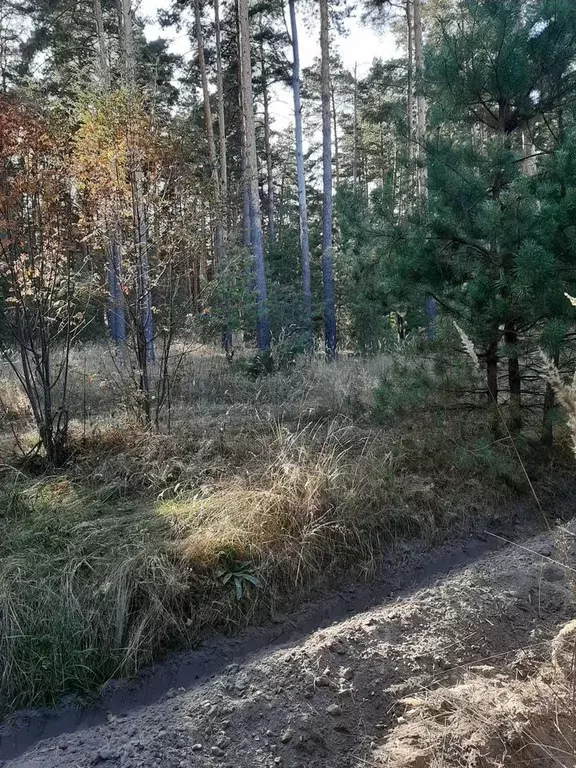 Участок в Липецкая область, Добровский муниципальный округ, с. ... - Фото 1