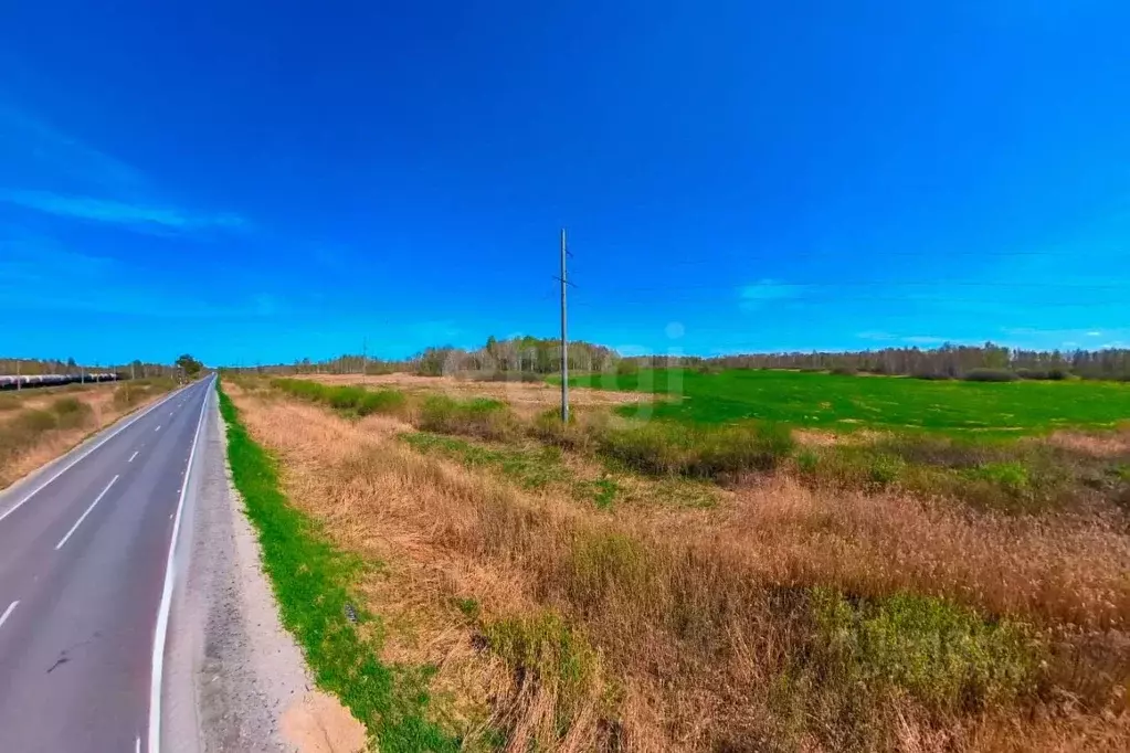 Участок в Тюменская область, Нижнетавдинский район, Ключевское с/пос, ... - Фото 1