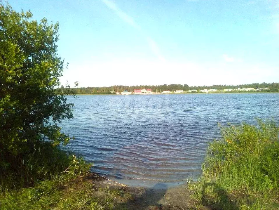 Дом в Вологодская область, Кирилловский муниципальный округ, д. ... - Фото 1