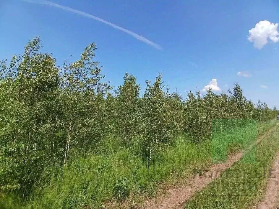 Участок в Марий Эл, Медведевский район, Азяковское с/пос, д. Шеклянур ... - Фото 2