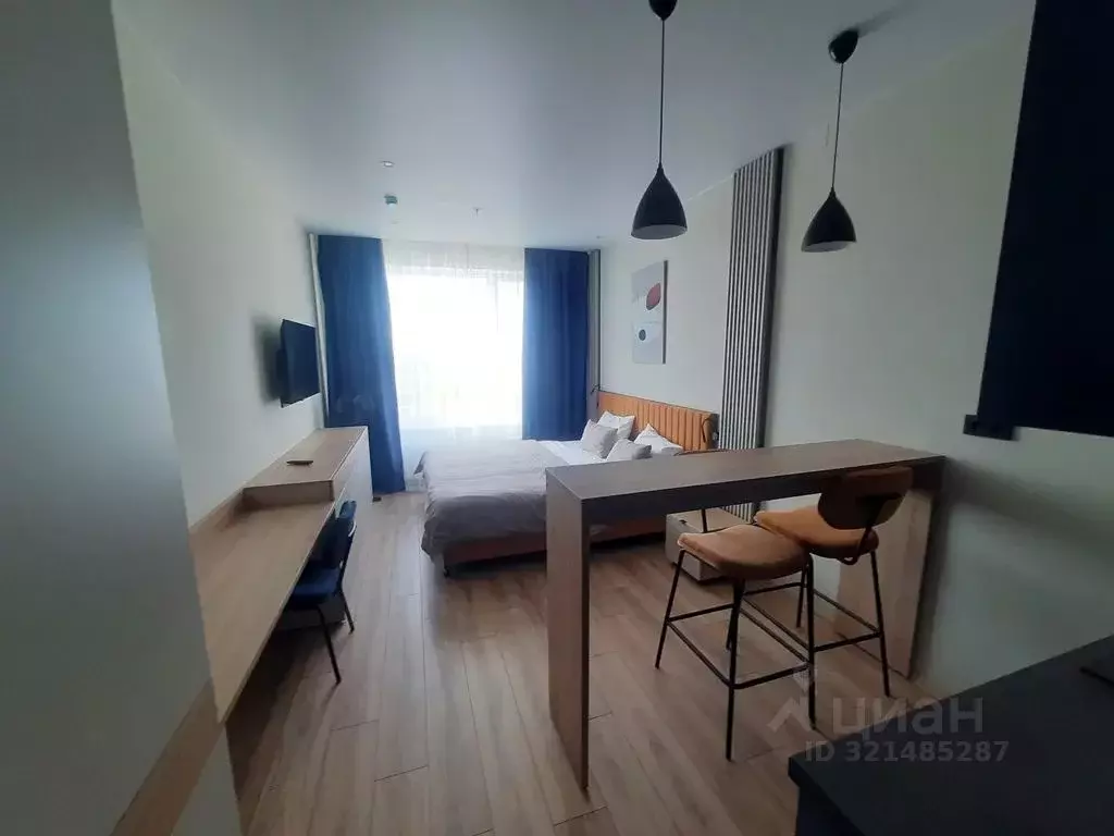 1-к кв. Санкт-Петербург просп. Энергетиков, 8к2 (25.0 м) - Фото 2