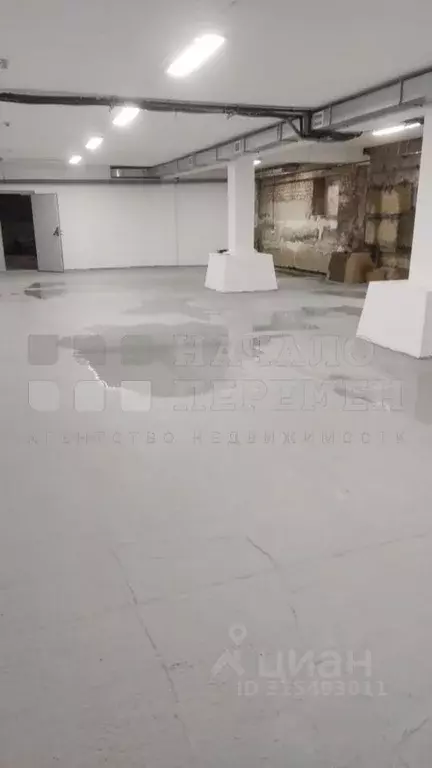 Помещение свободного назначения в Новосибирская область, Новосибирск ... - Фото 1
