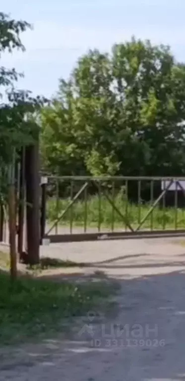 Участок в Новосибирская область, Тогучинский район, Заринка СТ  (9.4 ... - Фото 1