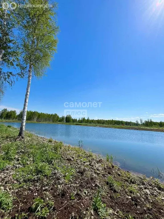 Участок в Тюменский муниципальный округ, деревня Решетникова (8 м) - Фото 1