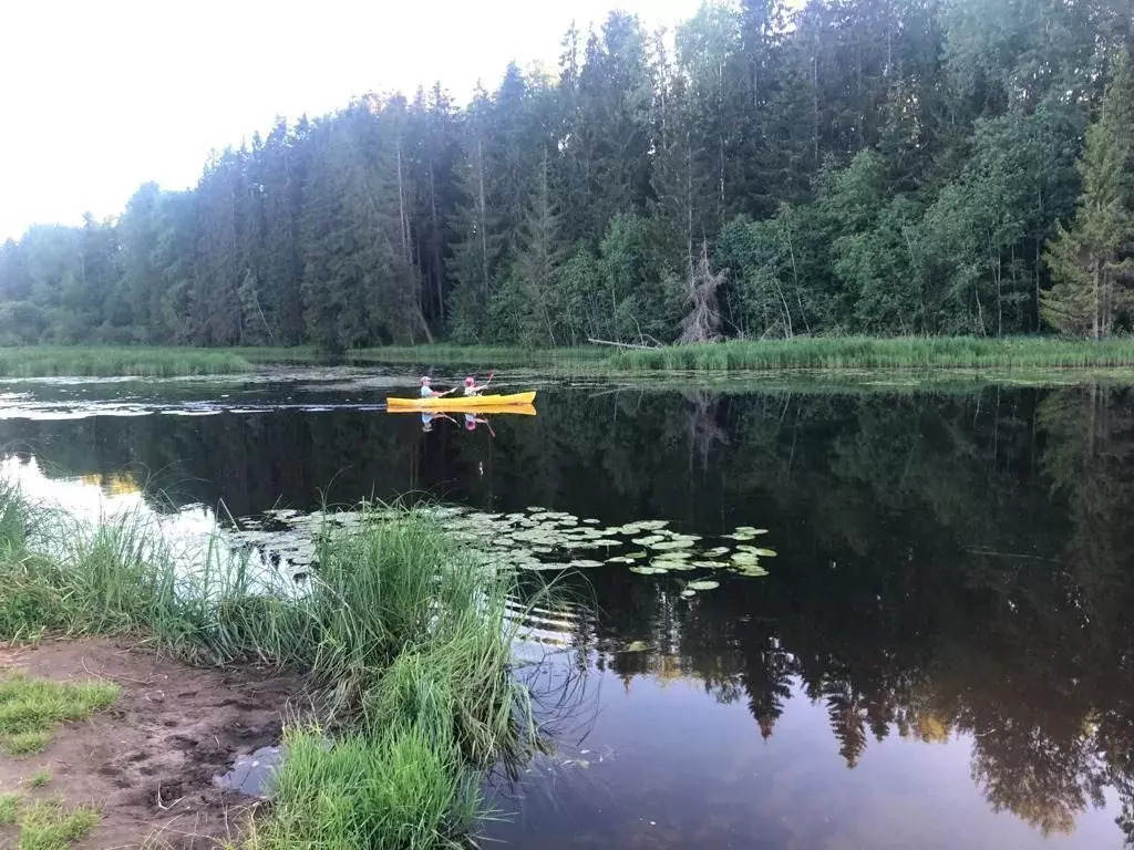 Дом в Ленинградская область, Гатчинский район, Вырица городской ... - Фото 1