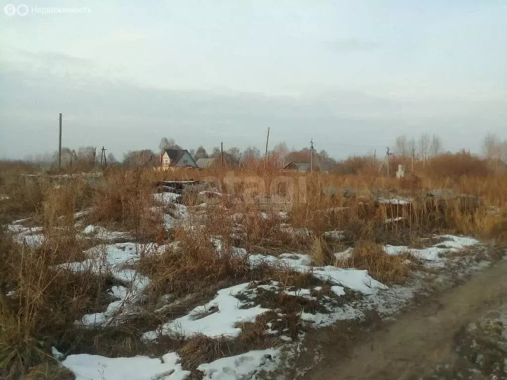 Участок в Курган, микрорайон Глинки (17 м) - Фото 1