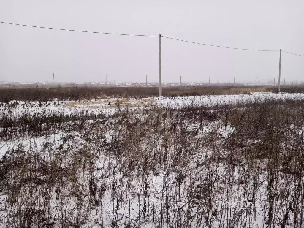 Купить Участок В Медовке Воронежской Области