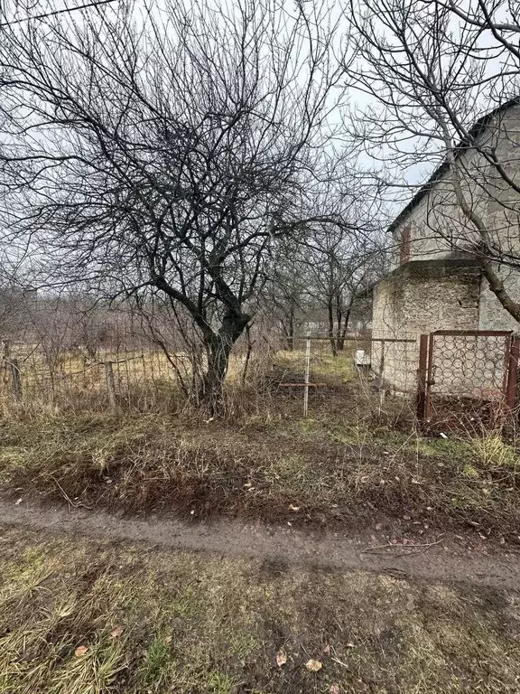 Участок в посёлок Персиановский, садоводческое товарищество Дубок (6 ... - Фото 0