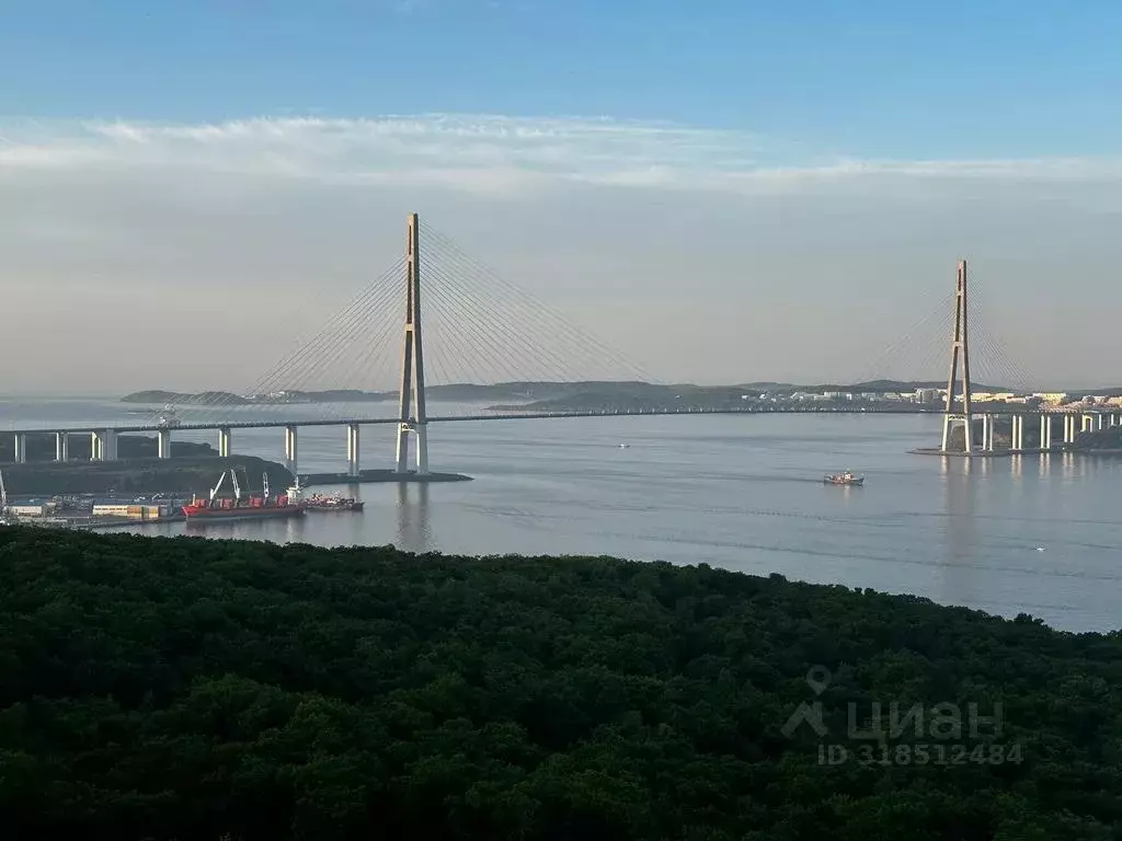 2-к кв. Приморский край, Владивосток ул. 3-я Поселковая, 18 (50.0 м) - Фото 0