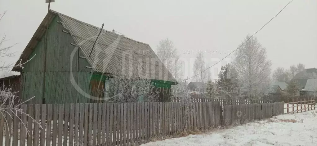 Дом в Курганская область, Кетовский муниципальный округ, с. Введенское ... - Фото 1