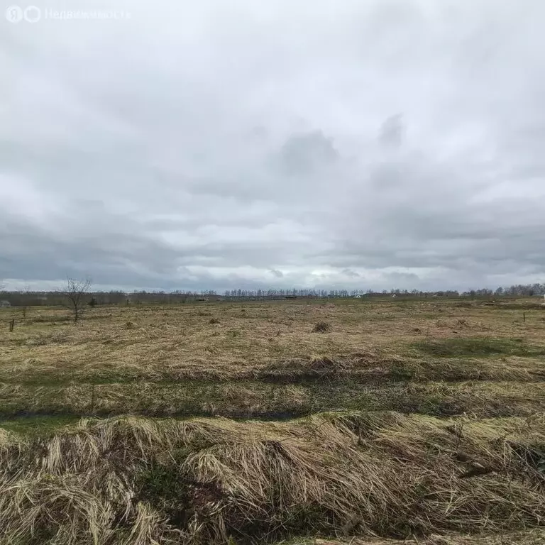 Участок в село Бессоновка, улица Кудряшова, 315 (10 м) - Фото 1