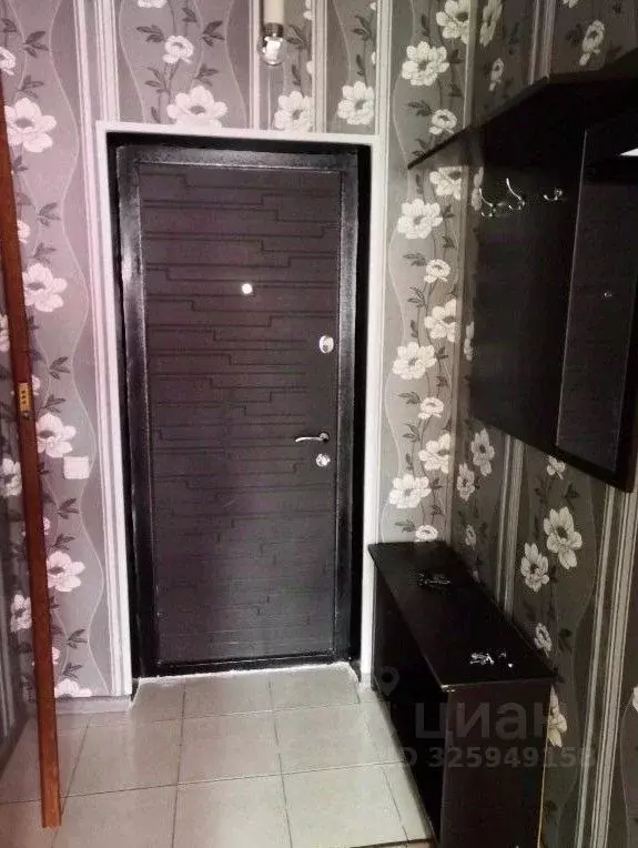 1-к кв. Калужская область, Боровский муниципальный округ, д. Кабицыно, ... - Фото 2