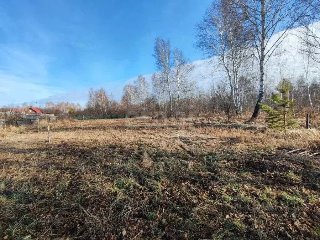 Участок в Тюменская область, Тюменский муниципальный округ, Красная ... - Фото 1