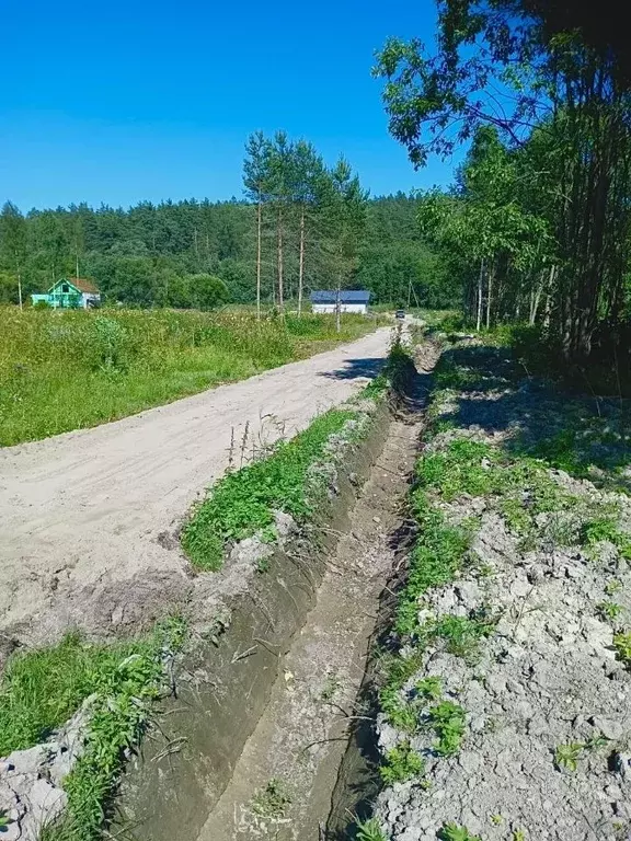 Участок в Карелия, Лахденпохский муниципальный округ, 1302 кв-л 3202 ... - Фото 1