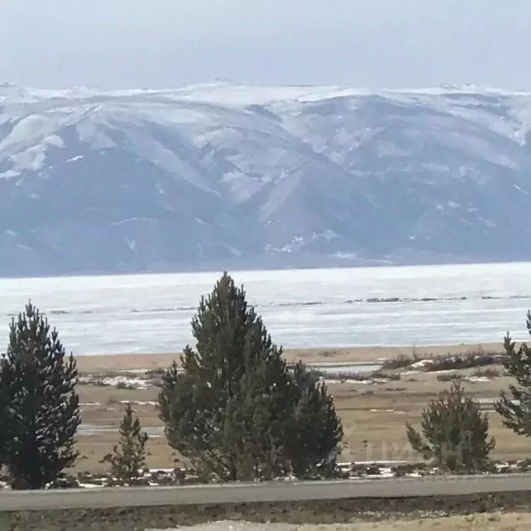 Участок в Иркутская область, Ольхонский район, пос. Хужир ул. Сосновая ... - Фото 1