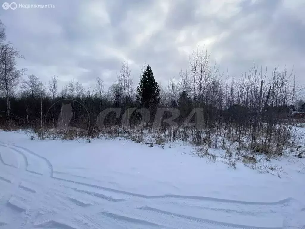 Участок в Тюменский муниципальный округ, село Перевалово (11.7 м) - Фото 2